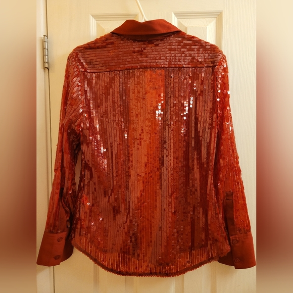 Zara Sequined Button Down Blouse - Picture 4 of 6